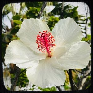 Meet your Posher, Rachelle